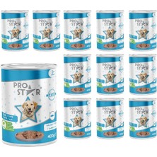 Yetişkin Köpek Balıklı Pate 400 Yaş Mama gr x 12 Adet