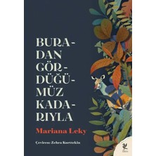 Trendexa Buradan Gördüğümüz Kadarıyla
