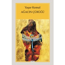 Uravas Store Ağacın Çürüğü