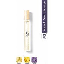ILLUSIONE Élan EDP Erkek Seyahat Boy Parfüm 10ml