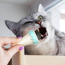 Dondurma Şeklinde Kedi Nanesi Kedi Otu Nemere