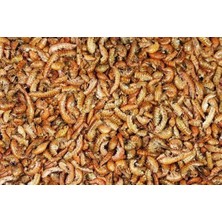 Asitan Rotifish Kurutulmuş Gammarus (Karides) Kaplumbağa ve Balık Yemi 500 gr
