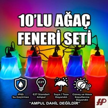 Bms 10 Adet Plastik Ağaç Feneri Seti Duy + Kablo Dahil Pratik Kurulum Bahçe Kafe Teras Dış Mekan Villa Lüx Süs Alaçatı Aydınlatma