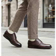 Klasik erkek Ayakkabı Leosteps Brown Craig