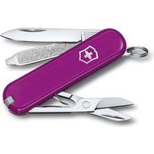 Victorinox 0.6223.52G Tasty Grape Classic Çakı