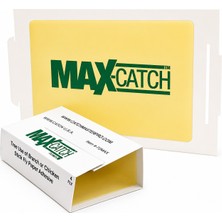 Max-Catch Fare ve Haşere Yapışkanı