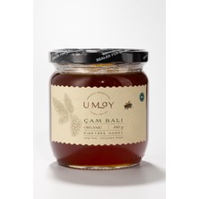 Duraner Aktariye Umay Organik Çam Balı 480 Gr.