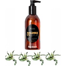 Bezos Burlumbuş Otu Rahatlatıcı Bakım Masaj Jeli 120 ml x 1 Adet