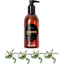 Bezos Burlumbuş Otu Bakım Masaj Jeli 120 ml x 1 Adet