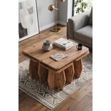 Bezos Orta Sehpa ve Zigon Sehpa 5'li Set Modern Çok Amaçlı Salon Oturma Odası Yan Sehpa 9248 Atlantik Çam