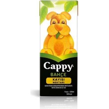 Bezos Kayısı Meyve Suyu 200 Ml.