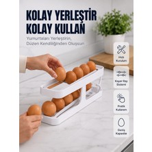 Hatıra Kutusu Yumurta Düzenleyici Organizer Buzdolabı Için Yer Tasarruflu Saklama Rafı - Lisinya