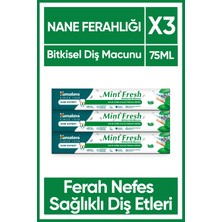 Mint Fresh Ferahlatıcı Diş Macunu, Bitkisel, Vejetaryen, Florürsüz, Parabensiz, 75 ml 3 Adet