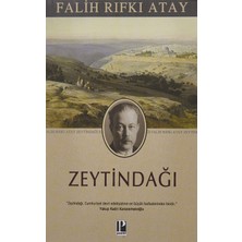 Pozitif Yayınları Zeytindağı