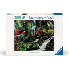 Ravensburger Puzzle Ravensburger 2000 Parçalı Puzzle Renkli Papağanlar
