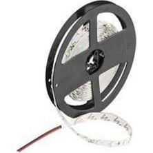 Sanec 4040 Rgb Şerit LED Iç Mekan – 5 Metre