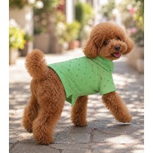 Miniş Green Küçük Irk Köpek Pike Kumaş Polo T-Shirt