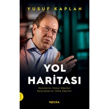 ALK Yol Haritası