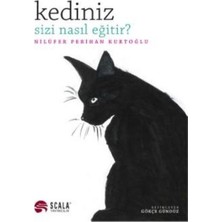 ALK Kediniz Sizi Nasıl Eğitir