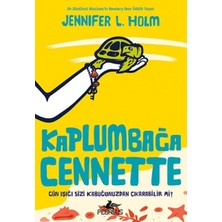 ALK Kaplumbağa Cennette