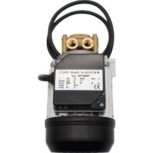 Ceme Mtp 600HP Periferik Su Pompası 0,6 Hp 1/4" 230V