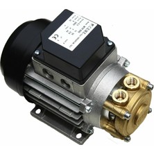 Ceme Mtp 600HP Periferik Su Pompası 0,6 Hp 1/4" 230V