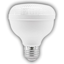 Eco Lounge 1 Adet Cata Ct 4125 Kristal LED Torch Ampul 25W 6400K Beyaz Işık E27 Duy