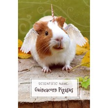 Createspace Scientific Name: Guineacorn Pigasus: Guinea Pig Unicorn Lover Journal