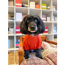Patilinka Kedi - Köpek Yazlık Nefes Alan File Tişört - Kıyafet - Elbise - Gömlek - Atlet