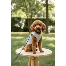 Patilinka Kedi - Köpek Yazlık Nefes Alan File Atlet - Tişört - Kıyafet - Elbise - Gömlek