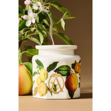 Anthropologie Apothecary 18 Kokulu Seramik Mum