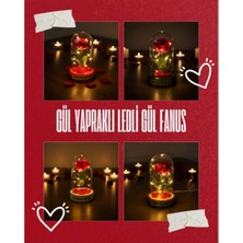 Gül Yapraklı Ledli Gül Fanus