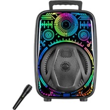Sungur's Store 8 Inç Karaoke Hoparlör USB Aux Fm Destekli Işıklı Speaker