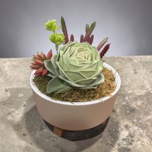 Sedosh Home Vision Yapay Sukulent Aranjmanı Büyük Boy - Plastik Ayaklı Saksıda Dekoratif Yapay Çiçek (25X25 Cm)