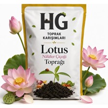 Hg Lotus Nilüfer Çiçeği Toprağı | Özel Karışım Su Bitkisi Toprağı