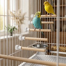 Mivra Pets 5'li Ahşap Kuş Tüneği Seti 12 cm Klipsli Muhabbet Kuşu Kanarya Kafes Tüneği