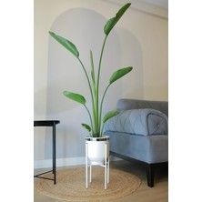 Empressco Dekoratif Metal Saksı Ayaklı Çiçeklik Beyaz Gümüş Detaylı Saksı Vazo Saksılık 41X21CM