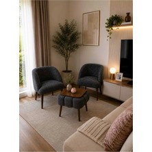 Dekozum Luna Soft Well Soft Peluş Kumaş Ikili Berjer Seti Salon Balkon Koltuk Berjer Özel Tasarım Sehpa Antrasit