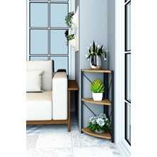 Dekozum 3 Raflı Metal Köşe Çiçeklik Saksılık Rafı Dekoratif Aksesuar Rafı