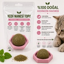 Pettolos Kedi Nanesi Oyun Topu