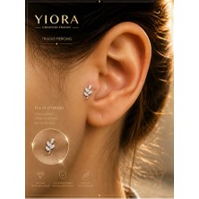 Yiora Jewellry Dal Cerrahi Çelik Zirkon Taşlı Tragus Helix Kıkırdak Conch Piercing 6 mm Gümüş Renk