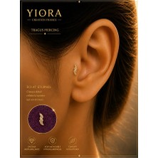 Yiora Jewelery Sarmal Model Cerrahi Çelik Zirkon Taşlı Tragus Helix Kıkırdak Conch Piercing 6 mm Gümüş Renk