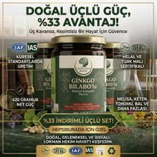 3 x 420 gr Ginkgo Biloba'lu Bitkisel Karışımlı Macun - Bal, Harnup Pekmezi, Oğul Otu ve Polen Içerikli Lokman Hekim Hayat