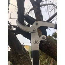 Brf Store Oreviosell Uzatılabilir Dal Budama Makası, 5cm Çelik Bıçaklı, Ayarlanabilir Teleskopik Saplı, Bahçe