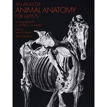 Brf Store Oreviosell An Atlas Of Animal Anatomy For Artists