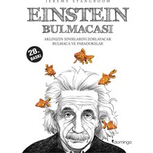 Brf Store Oreviosell Einstein Bulmacası: Aklınızın Sınırlarını Zorlayacak Bulmaca ve Paradokslar
