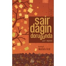 Lisinya Şair Dağın Doruğunda 2013