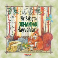Getittir Bir Bakışta Ormandaki Hayvanlar
