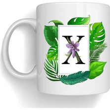 Bsb x Harfi Temalı Porselen Kupa Bardak Mug 224