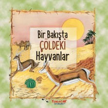 Fantastik Store Bir Bakışta Çöldeki Hayvanlar